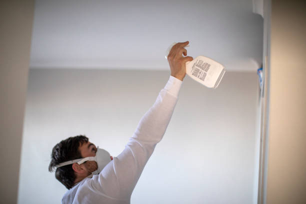 Best Attic Mold Remediation in Overland Park, KS